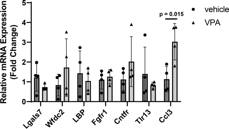 Fig. 5