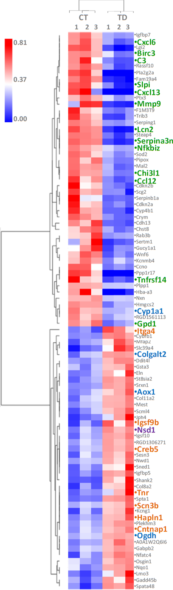 Fig. 4