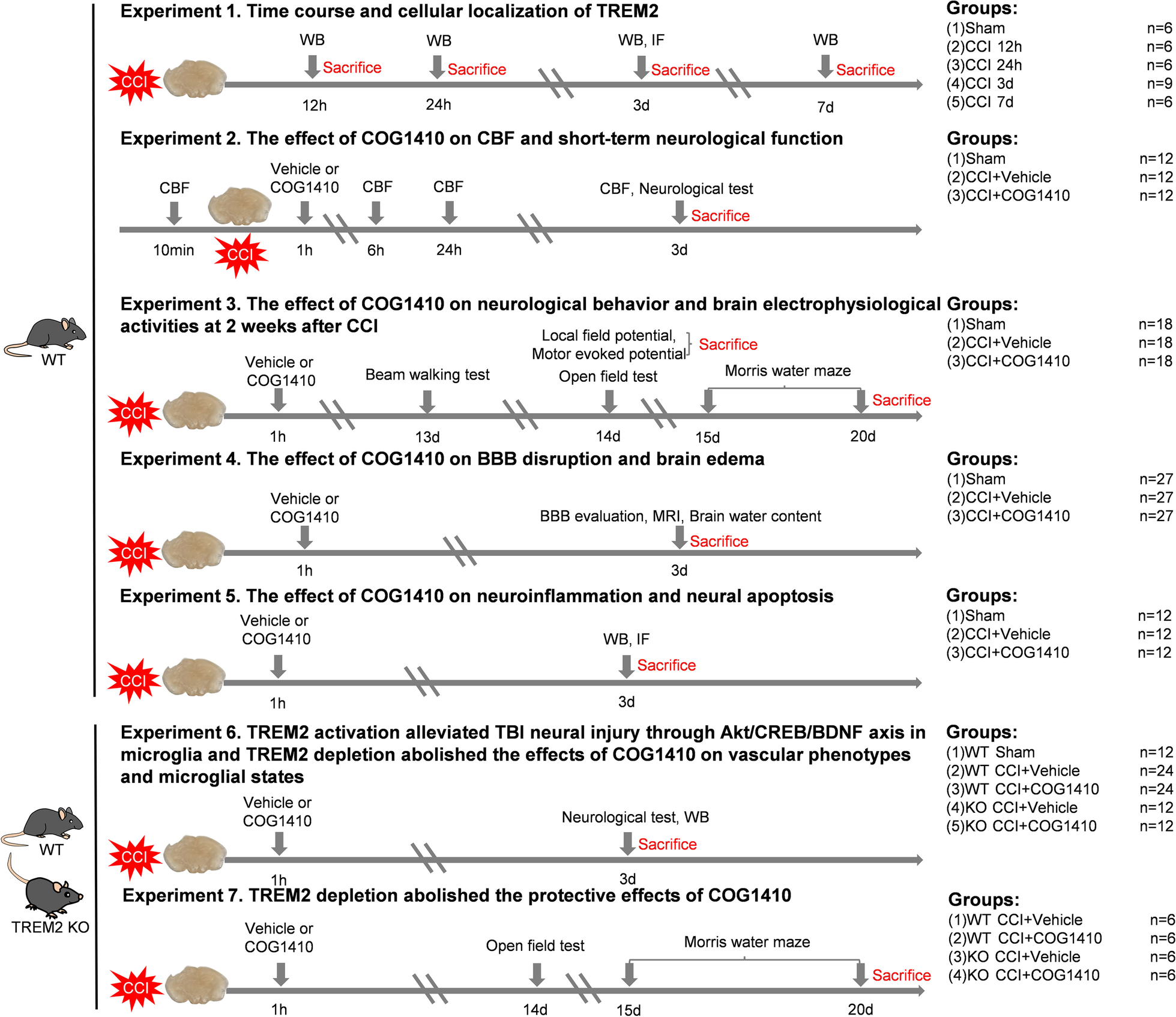 Fig.1