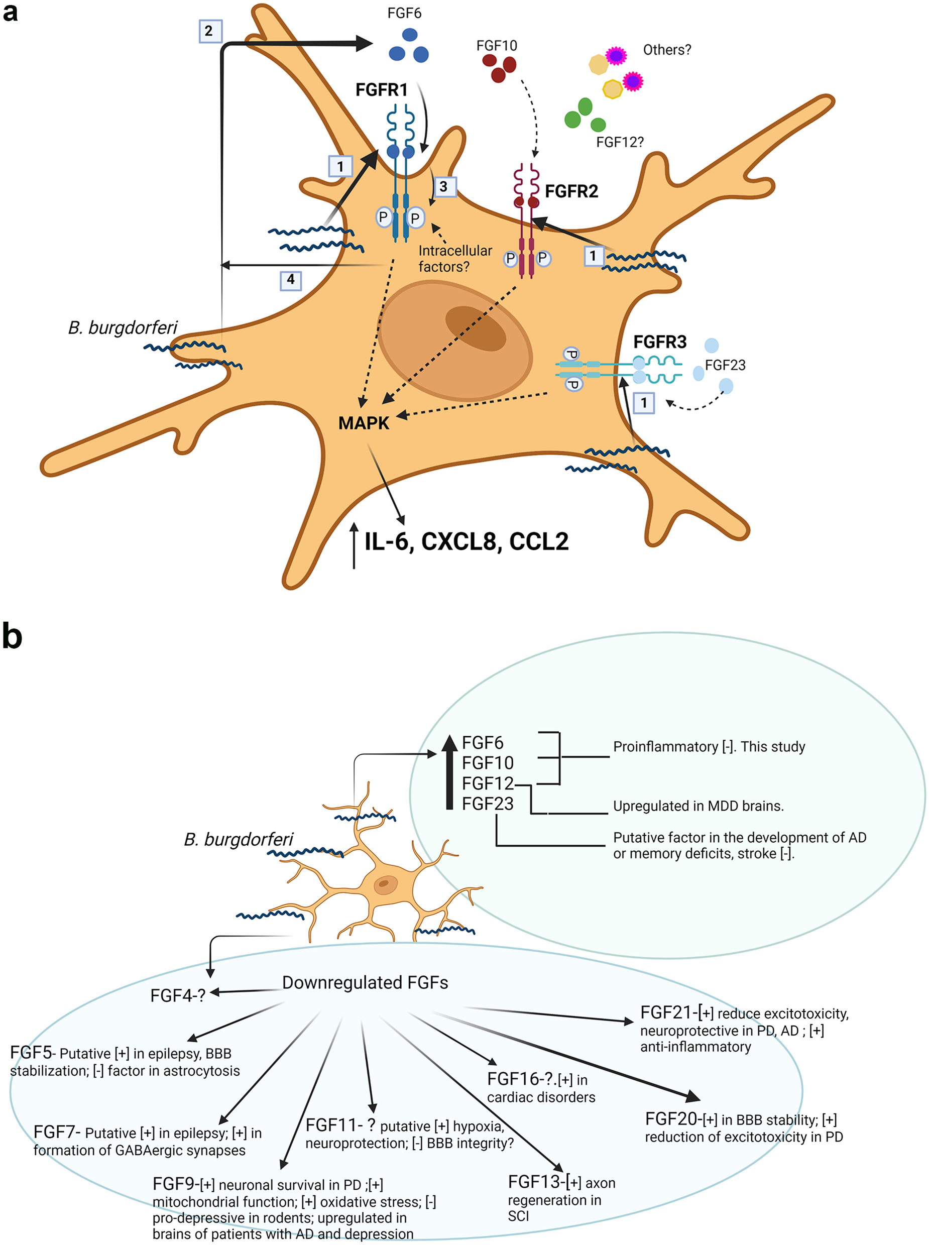 Fig. 7