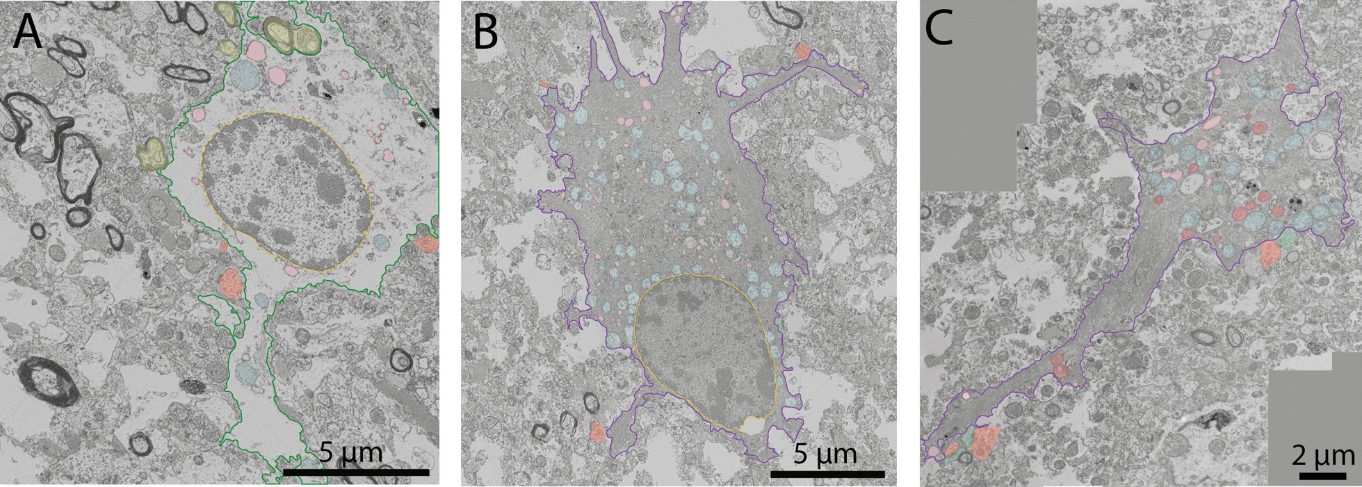 Fig. 10