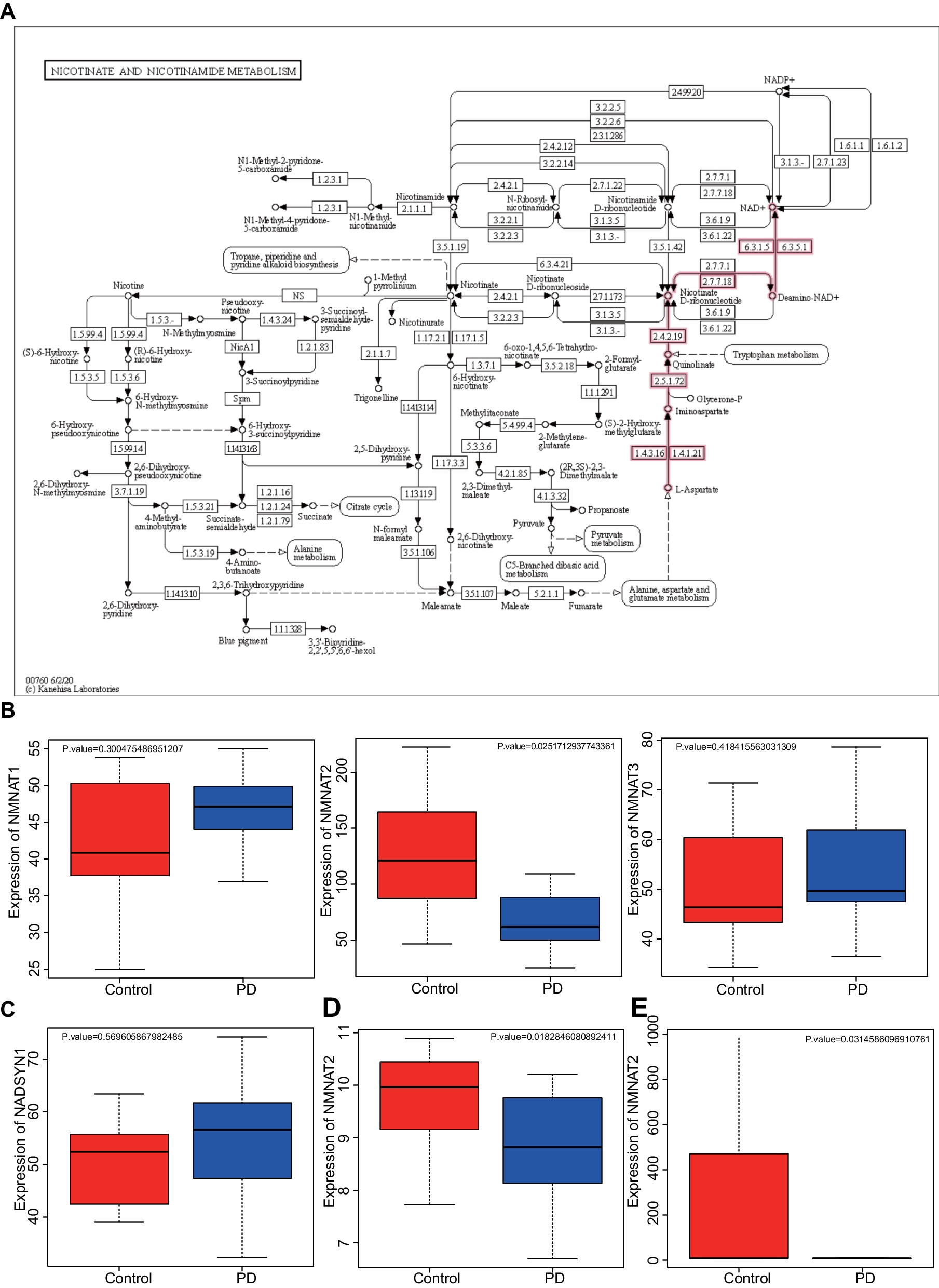 Fig. 4