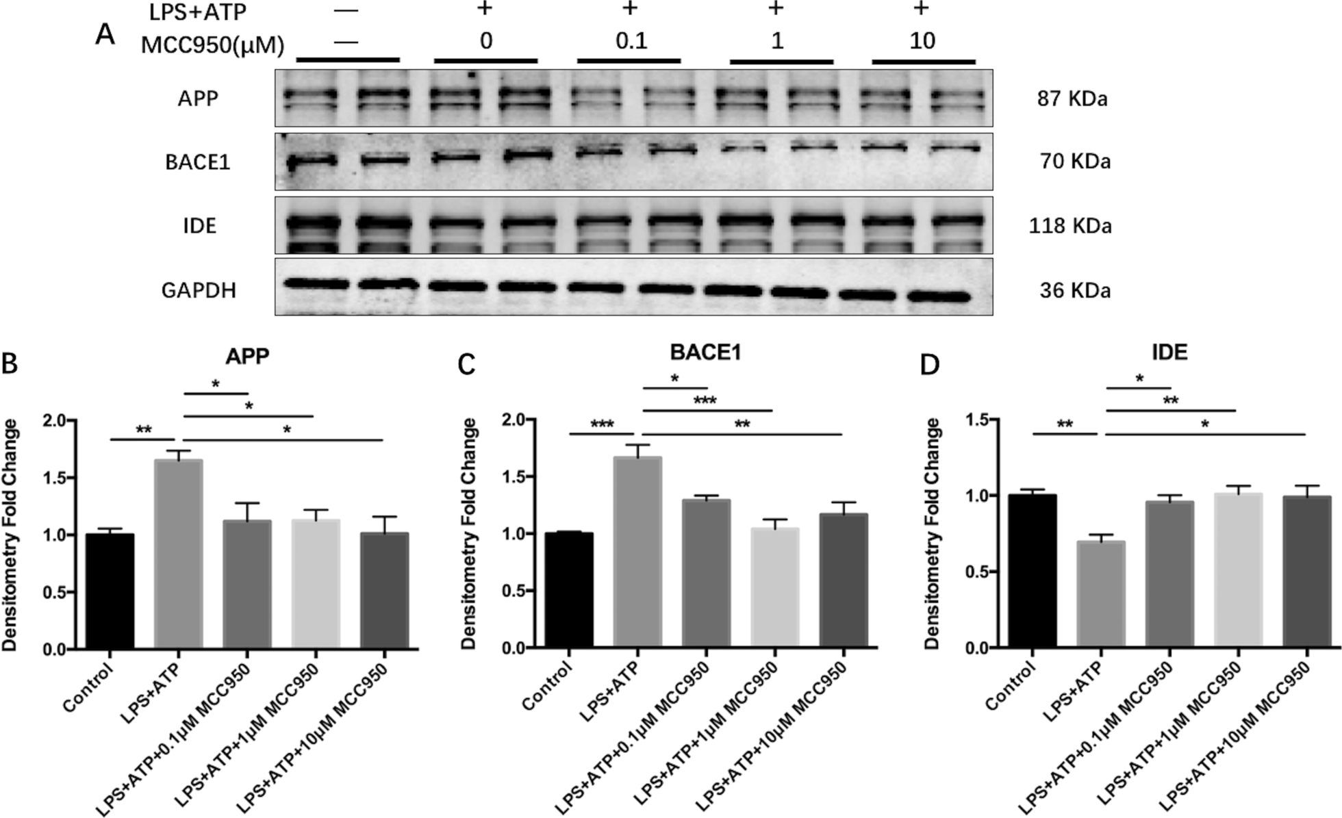 Fig. 10