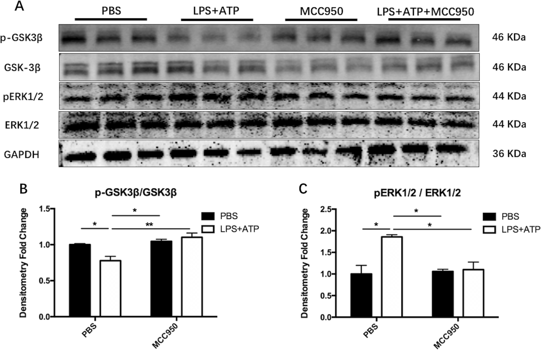 Fig. 12