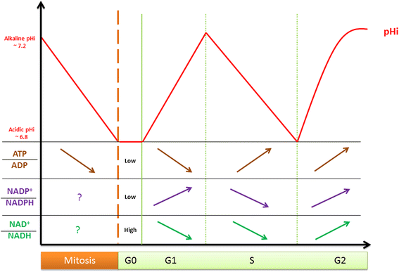 Fig. 2