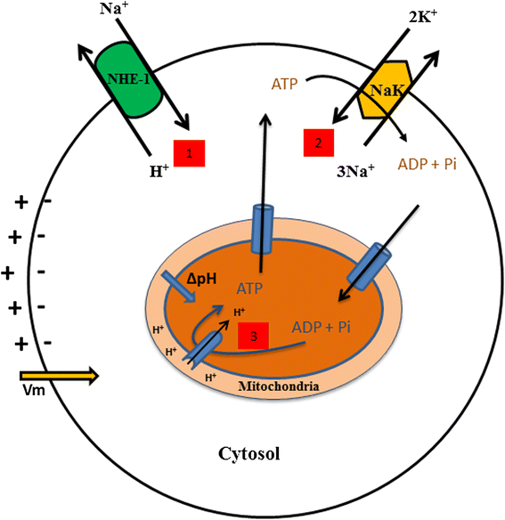 Fig. 3