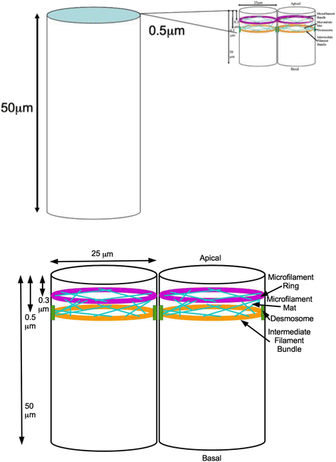 Fig. 5