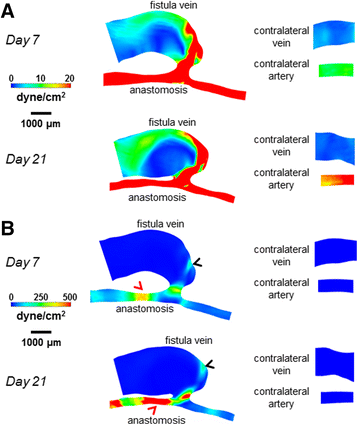 Fig. 5