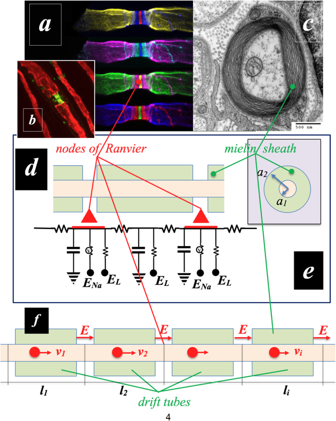 Fig. 10