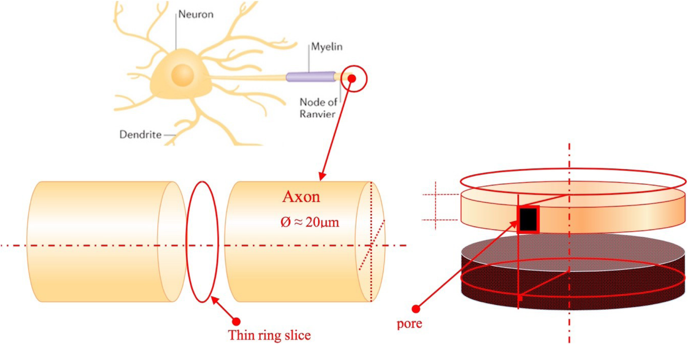 Fig. 2