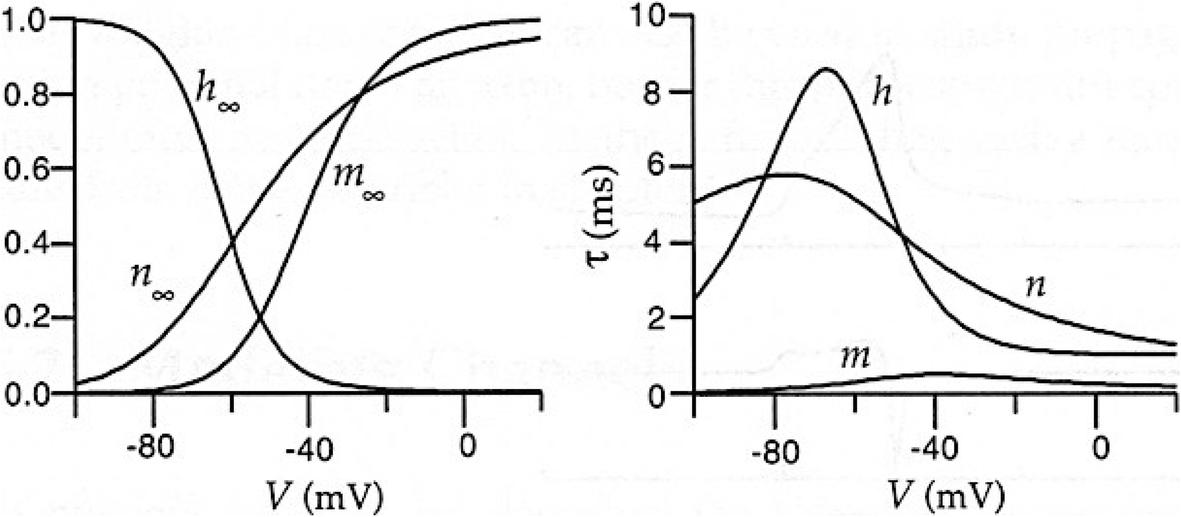 Fig. 5