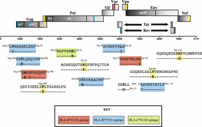 Figure 7