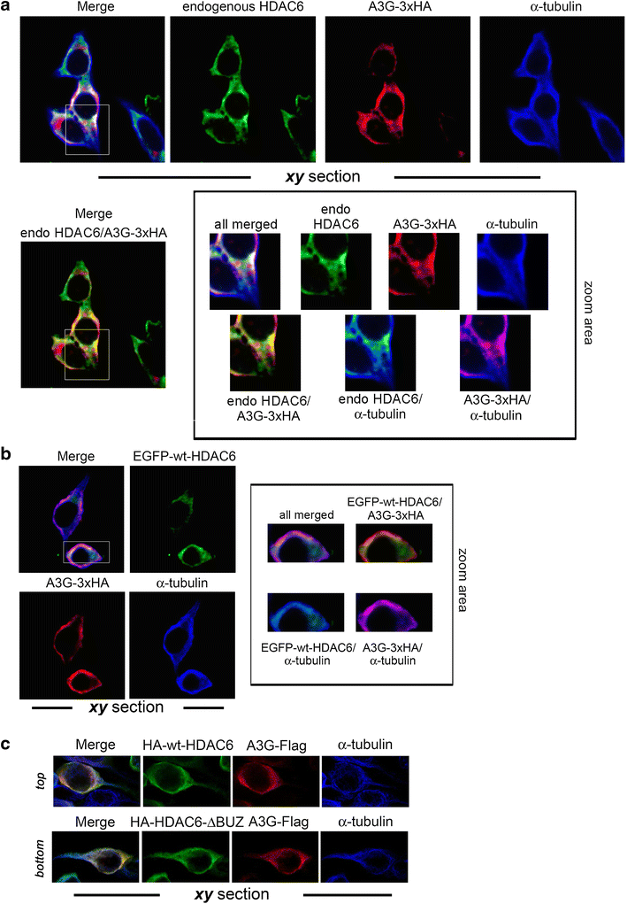 Figure 5