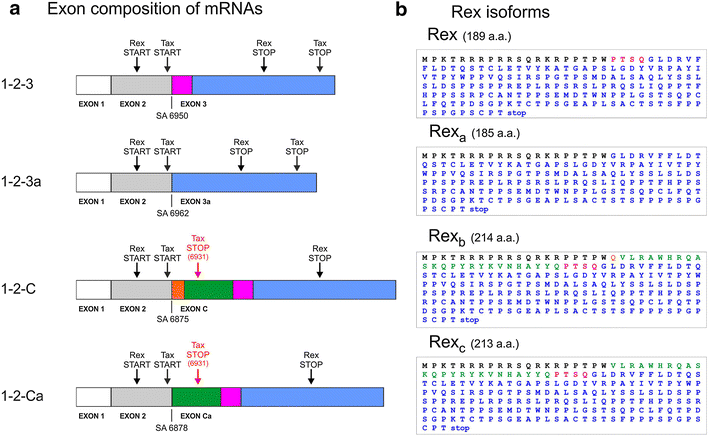 Figure 2