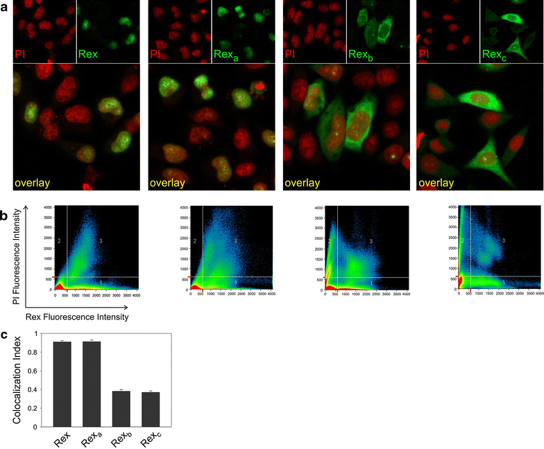 Figure 4