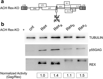 Figure 5