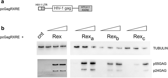 Figure 6