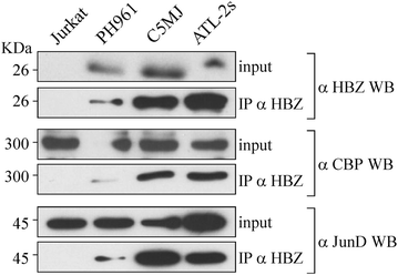 Figure 5