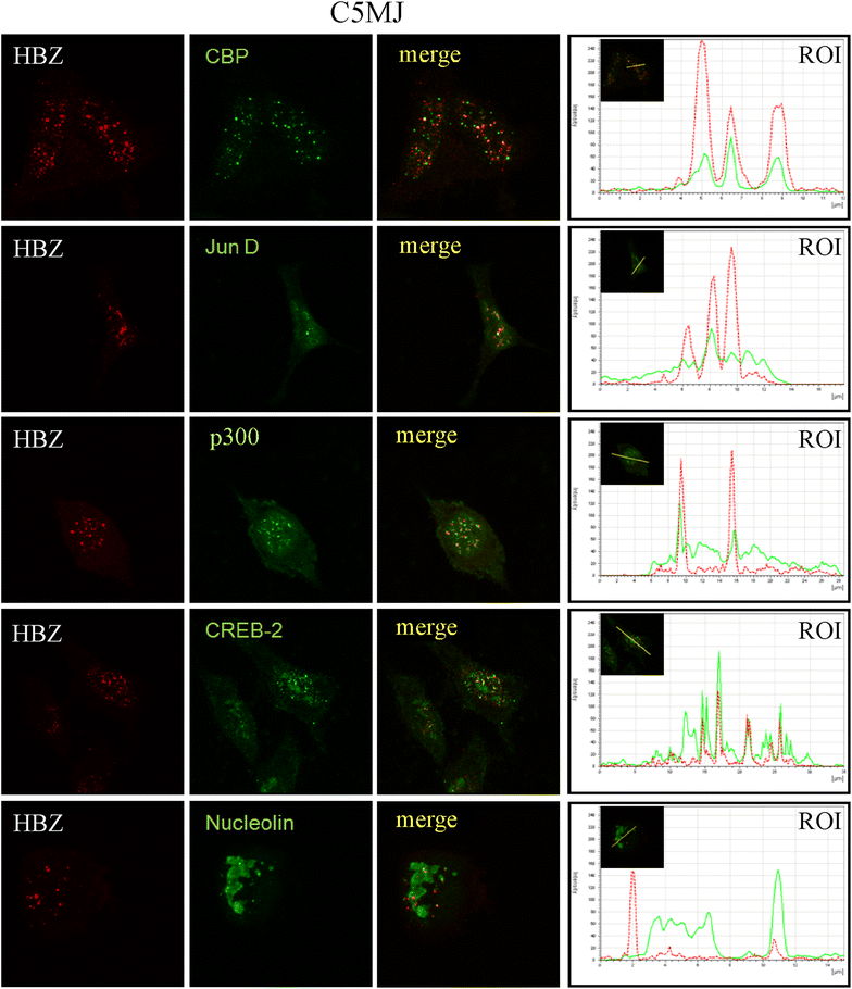 Figure 6