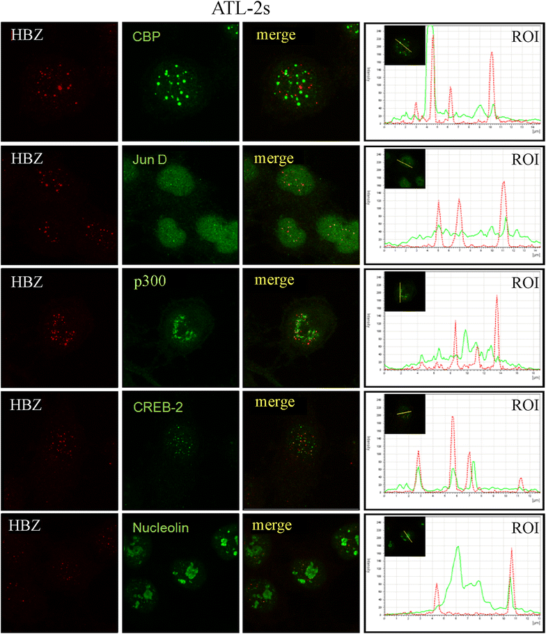 Figure 7