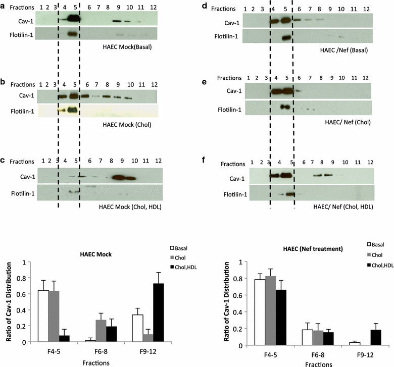 Figure 6