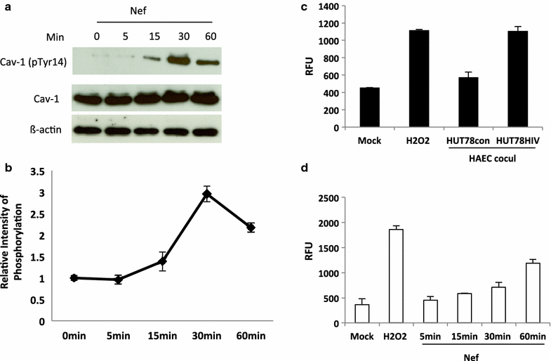 Figure 7