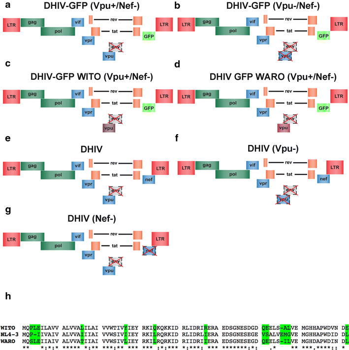 Fig. 1