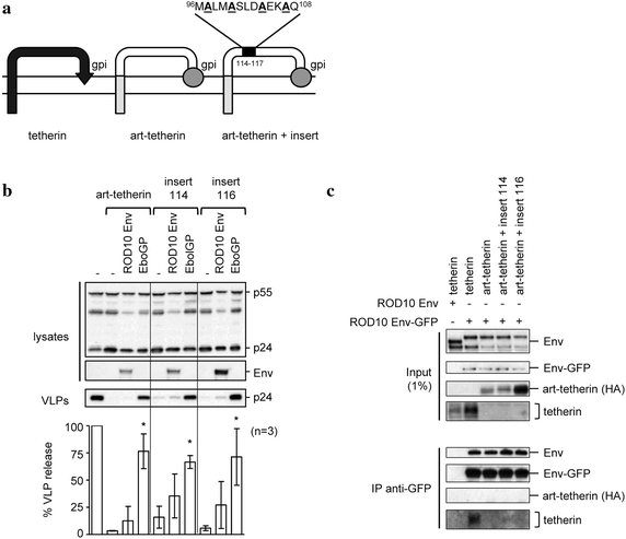 Fig. 4