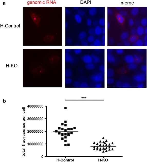 Fig. 6