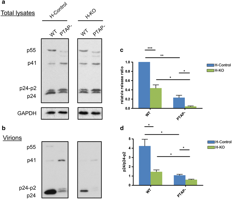 Fig. 7