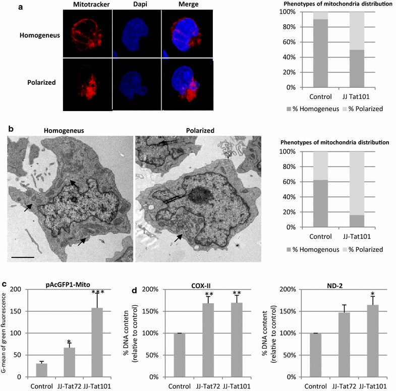 Fig. 8