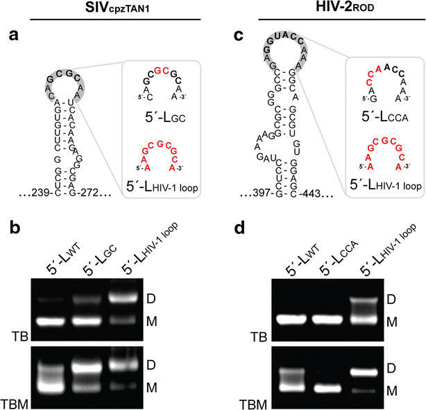 Fig. 6