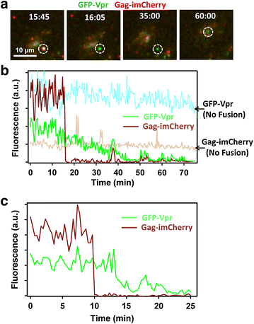 Fig. 3