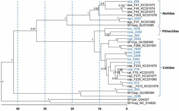 Fig. 4