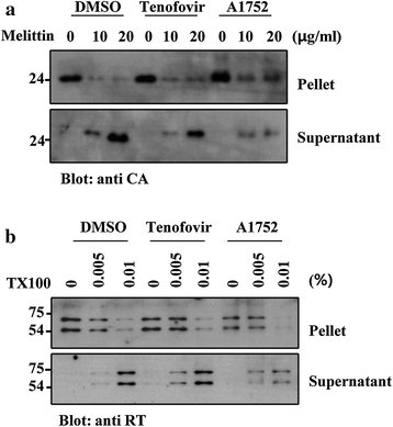 Fig. 7