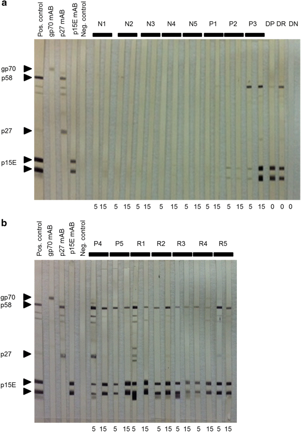 Fig. 4