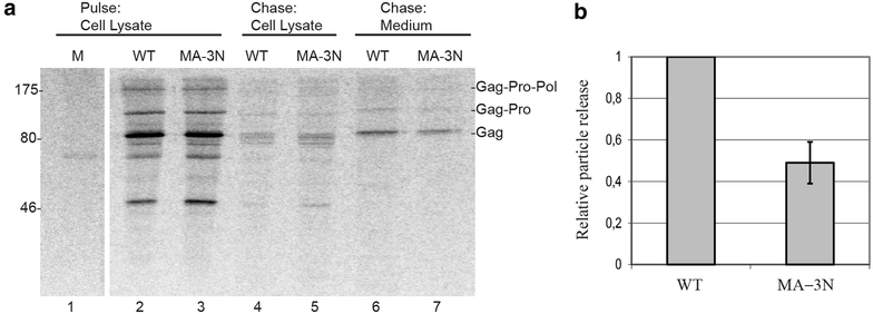 Fig. 7