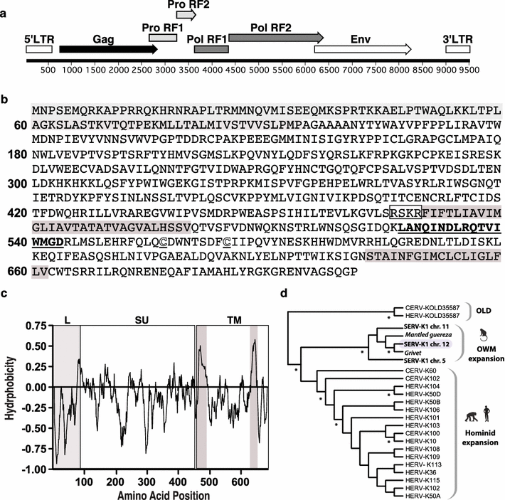 Fig. 1