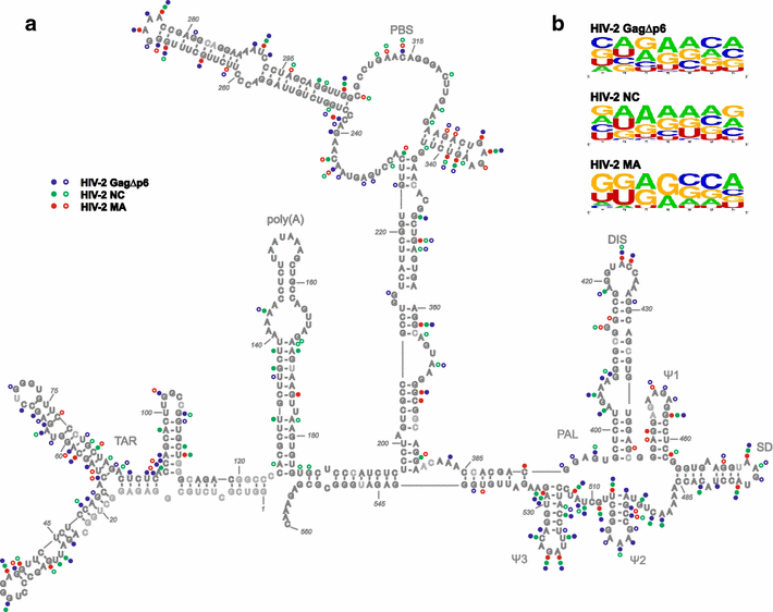 Fig. 2