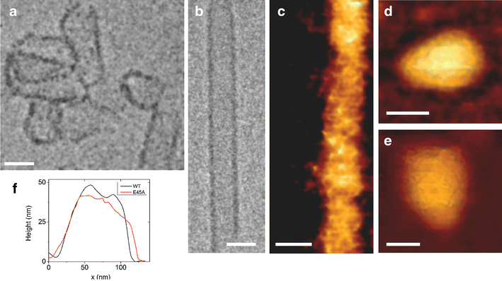 Fig. 1