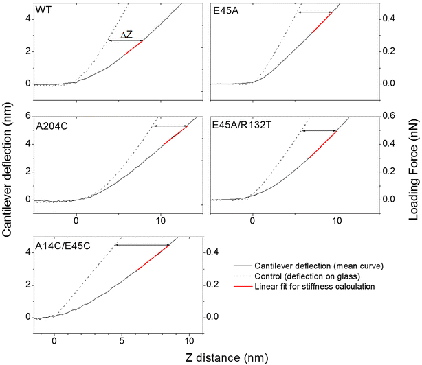 Fig. 3