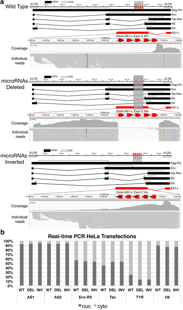 Fig. 6