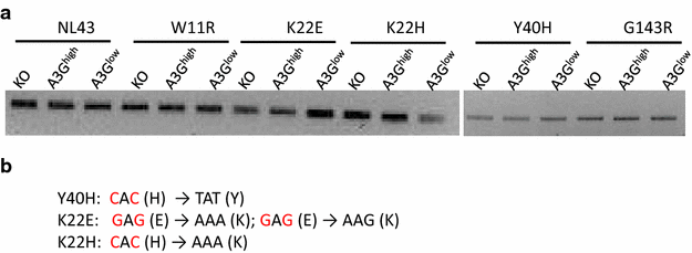 Fig. 3