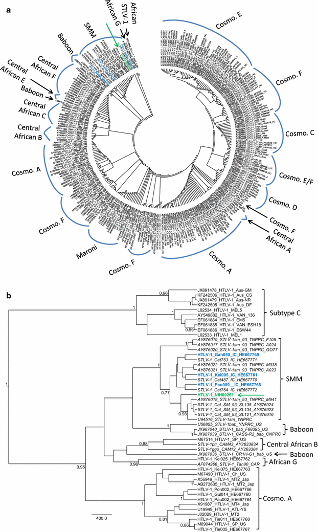 Fig. 5