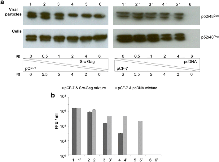 Fig. 10