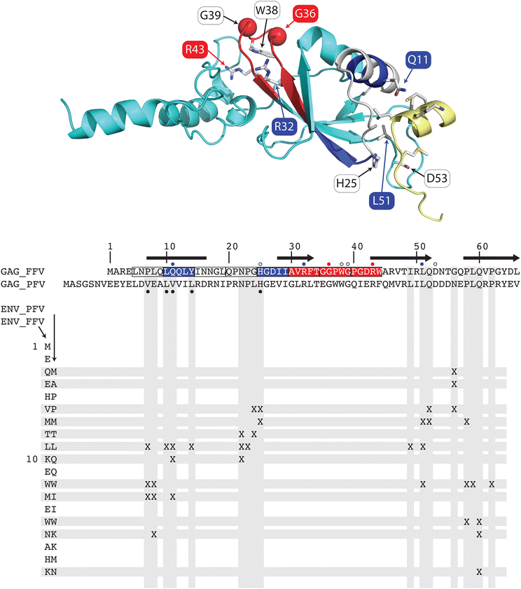 Fig. 11