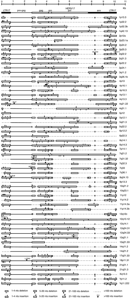 Fig. 2