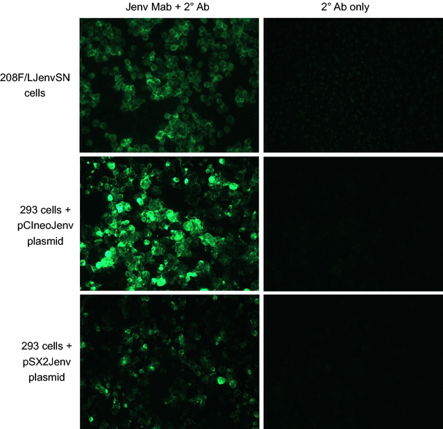 Fig. 2