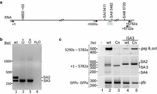 Fig. 3