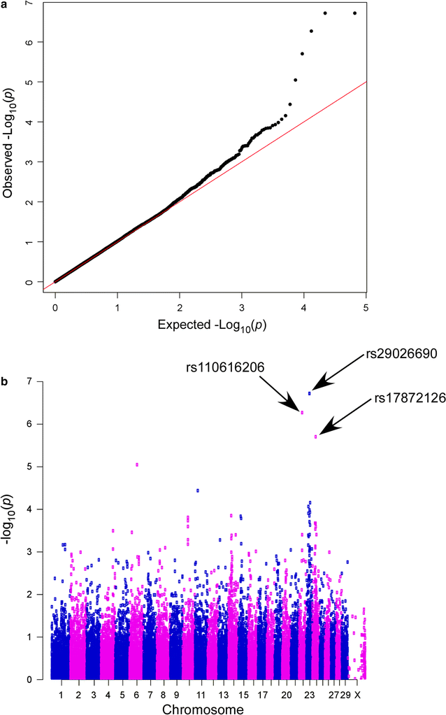 Fig. 2